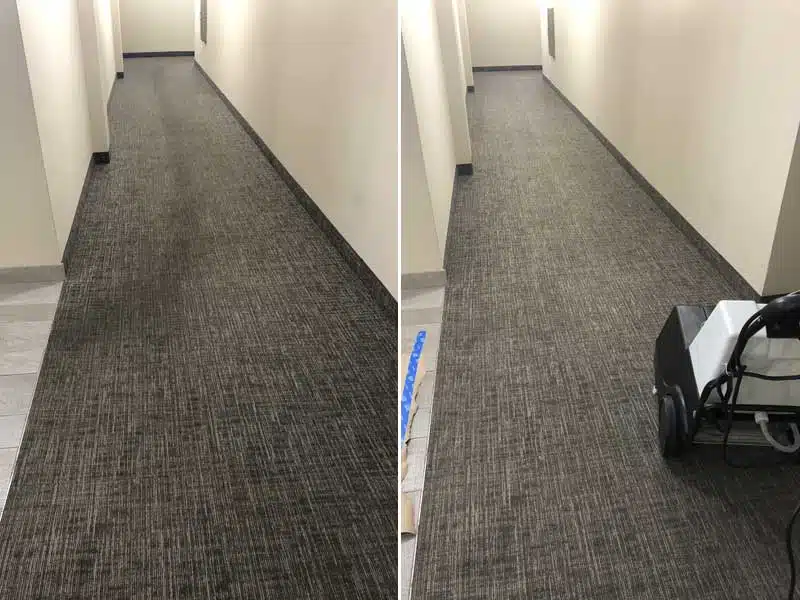 Commercial Carpet Cleaning in Pompano Beach