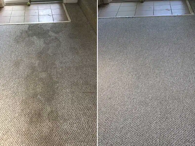 Yacht & Residential Carpet Cleaning
